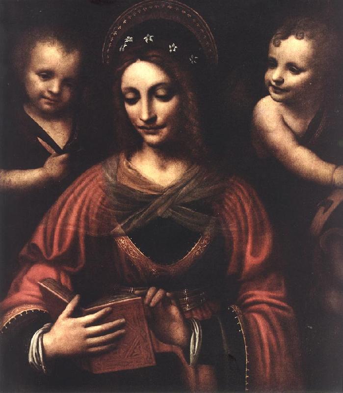 LUINI, Bernardino Saint Catherine a oil painting image